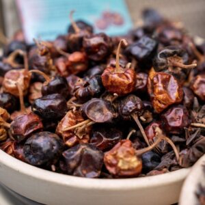 Cascabel