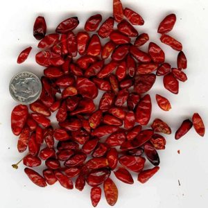 Pequin