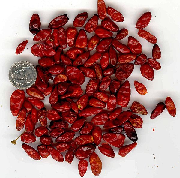 Chile pequin deals